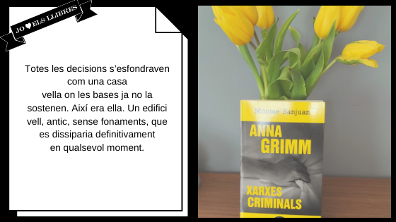 Anna Grimm Xarxes Criminals. Montse Sanjuan